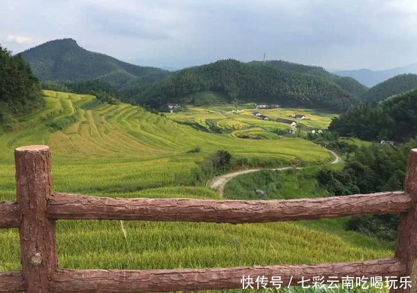 农民用这种新方式种地，效益不会比打工差