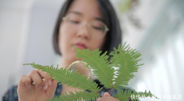 找个杭州的姑娘