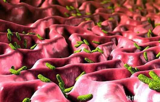 这些在你嘴里散发恶臭,难怪多年口臭治不好