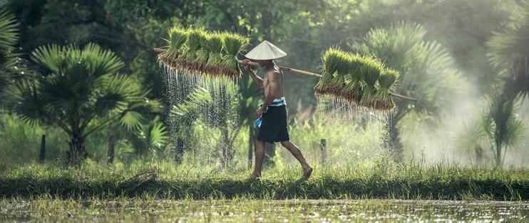 鱼缸供氧设备操作视频（鱼缸供氧设备操作视频教程）