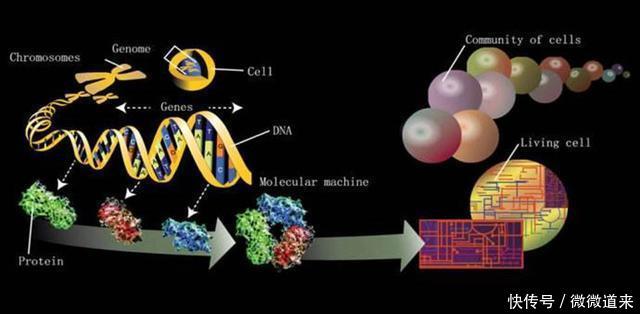 科学界最尖端的125个谜团, 诺贝尔奖在等待它们