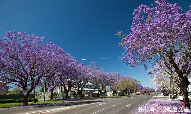 江一燕流连忘返的圣地,探险家的乐园,这个国度终于落地签啦!
