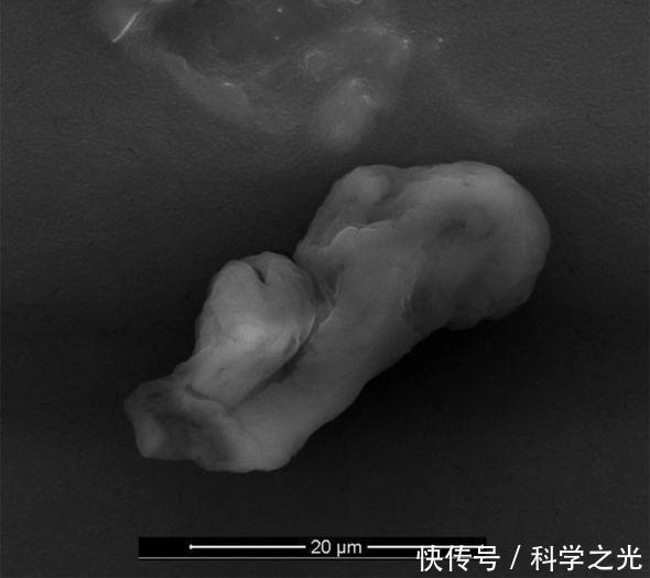 科学家在地球边缘发现神秘外星球生物 我们或许是由它们进化来的