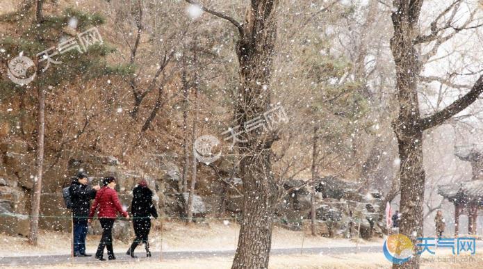 河北承德突降大雪 天地间白茫茫一片