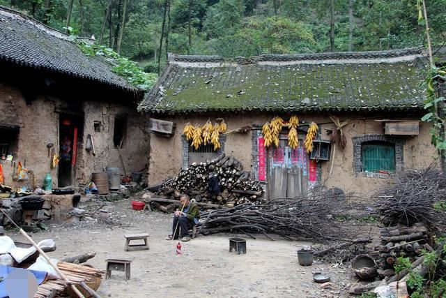 端午节拎着粽子回娘家,我妈却堵门外不让进,踹