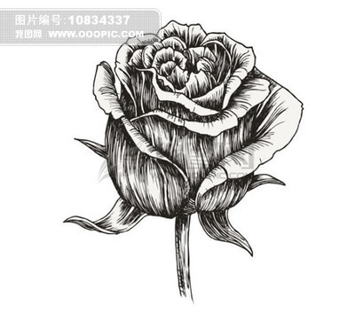 蚂蚁的简易画法