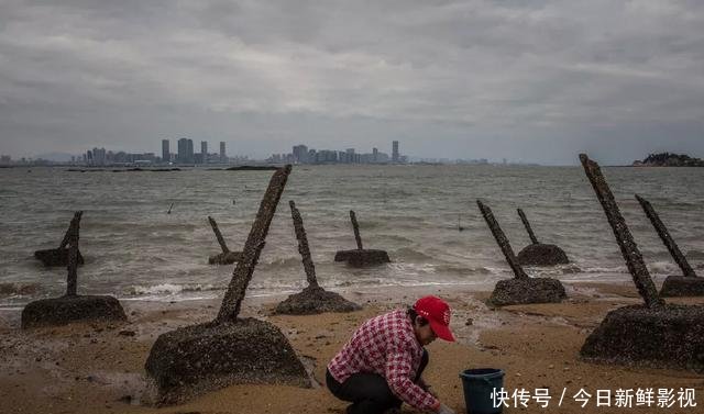 金门!回归!通水!通桥!通电!