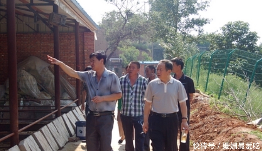 第二代残疾人证查询