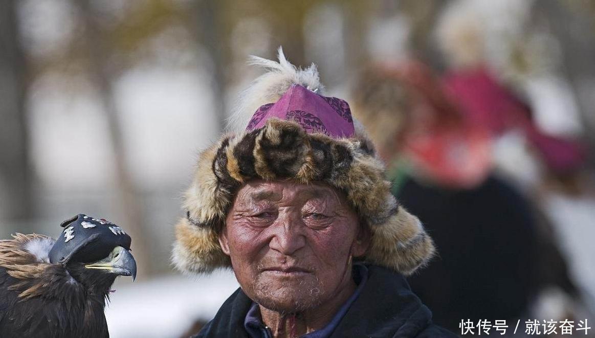 中亚各国人均gdp_中亚牧羊犬(3)