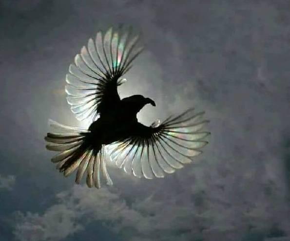 搞笑段子: 你说说你这么大个人了, 吃啥闲醋呢