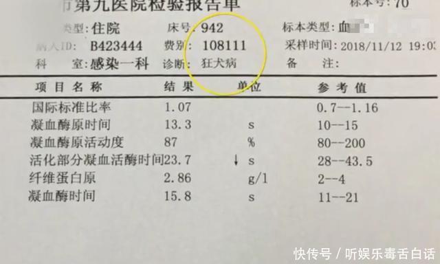 5岁男童半年前被狗咬伤,父母却不知情,如今狂