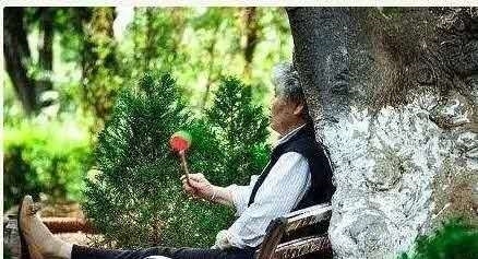 独生子女证补贴