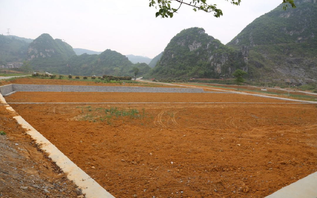 儿子去世,儿媳再嫁把儿子扔给俺,10年后,她后悔