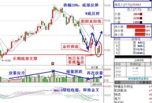 一重大惊人逆天消息突降国企改革:002230科大