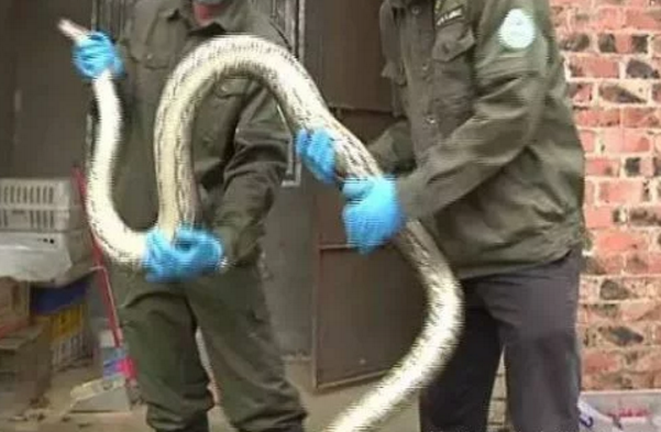 女子刚躺下睡觉,发现房顶有一只眼睛,坐起来一