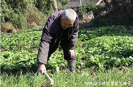父亲去世,二十万遗产没给儿子,村长给他一封信