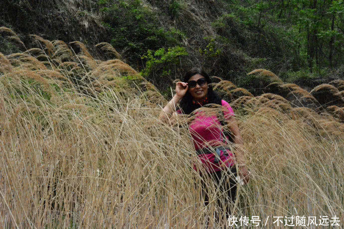 博山淋漓沟:一路情趣香南通宾馆吗小姐槐花有图片