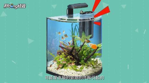 圓弧形魚缸（圓弧形魚缸炸缸怎么回事啊?） 祥龍水族醫(yī)院