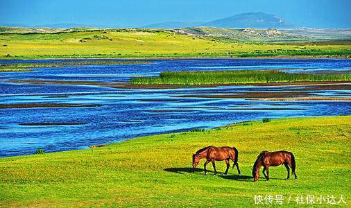 灵活就业医保要交几年