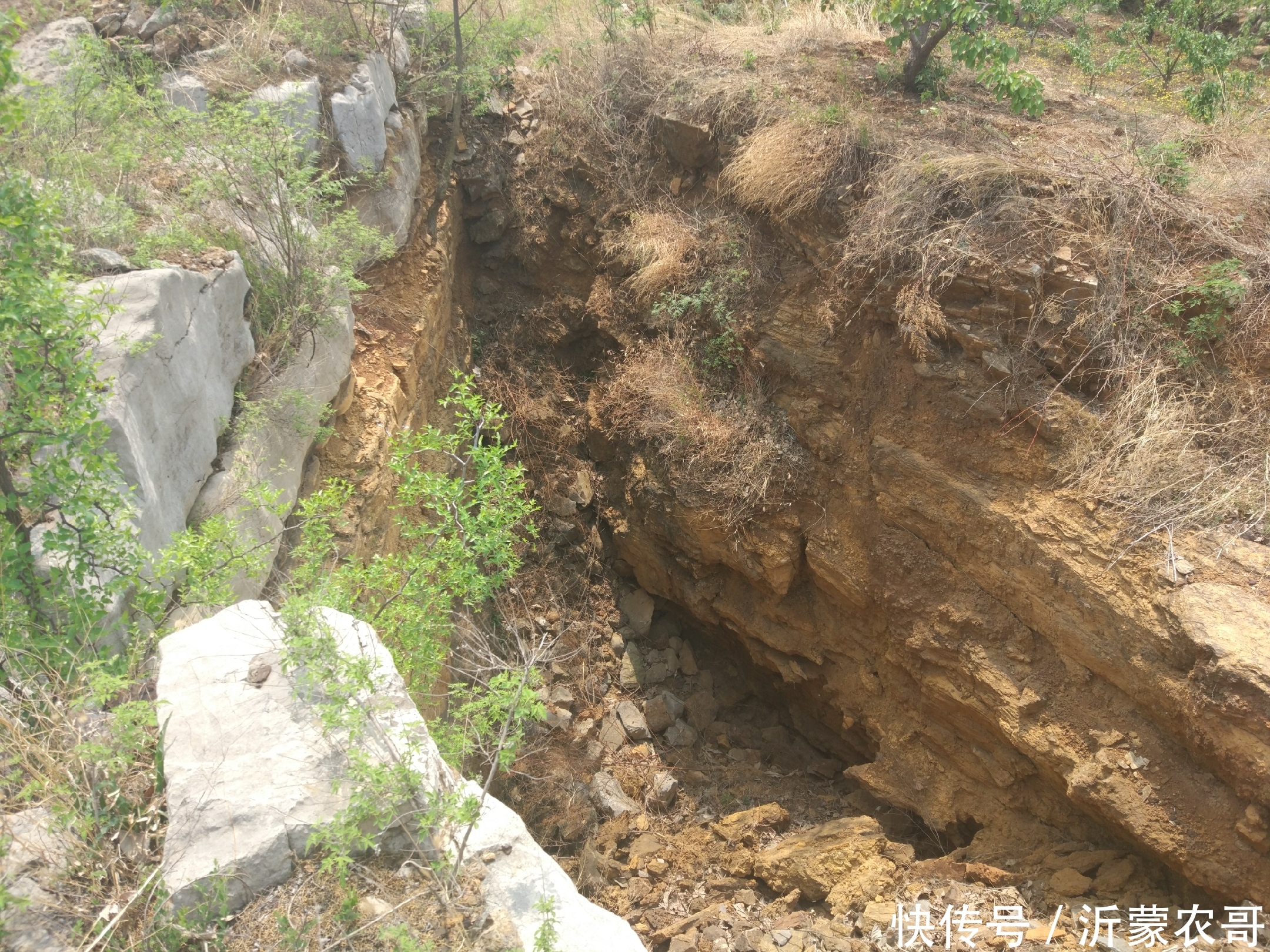 20年前这里开采过铁矿石,现在已经变成果园,结出的水果适合补铁