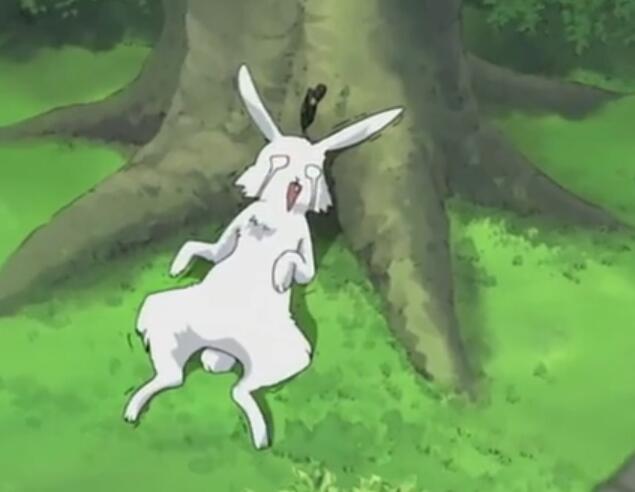 火影忍者经典战役之卷热血动漫 精彩瞬间图集