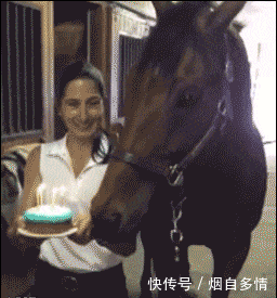 车船使用税怎么交