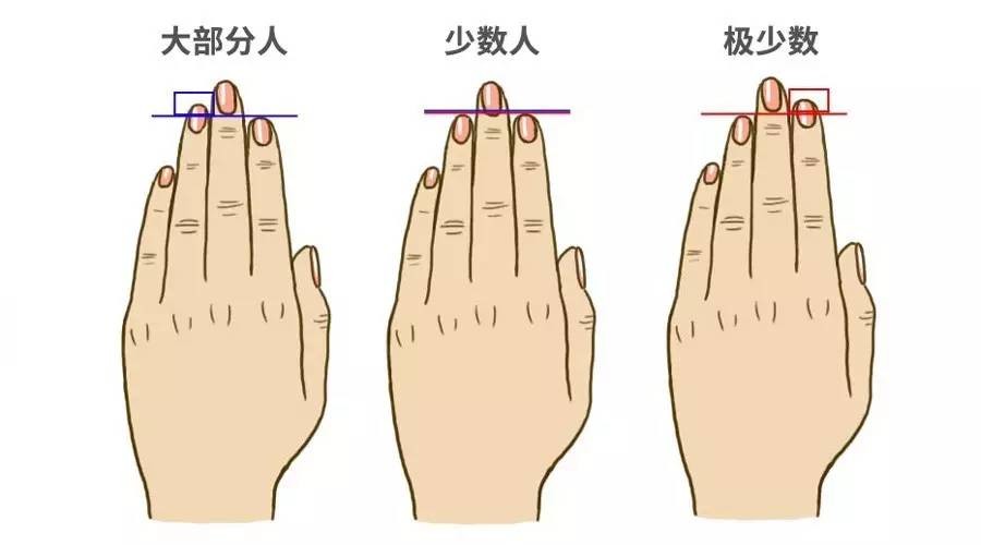 不是说男性手更大,手指就更长,而是说无名指和食指的差异.