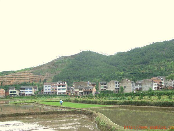 花桥镇地处芜湖市东大门,东与宣城水阳镇隔河相望,西与县城湾沚接壤