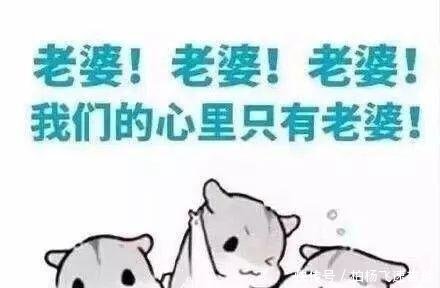 撩汉撩妹老公,情侣老婆、表情必备聊天v老公店搞笑图片图片