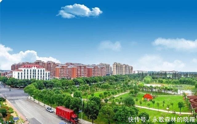 点评上海市松江区新浜镇被评为最美村镇建设受