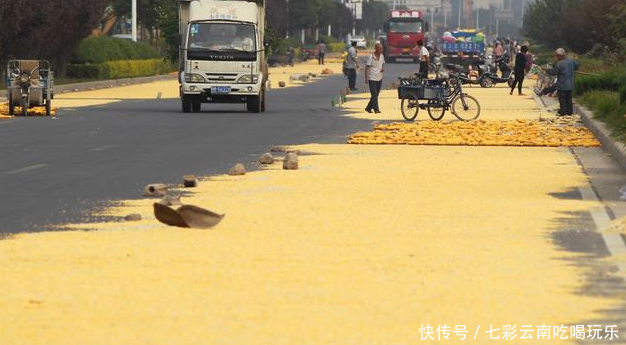 农村这现象很普遍，丰收的农民欢天喜地，最后一张图却容易被人骂