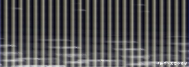 宠物蛇突然一动不动,主人带去医院检查后,蛇:我