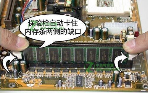 t0113d8a4c7cd1c295e.jpg