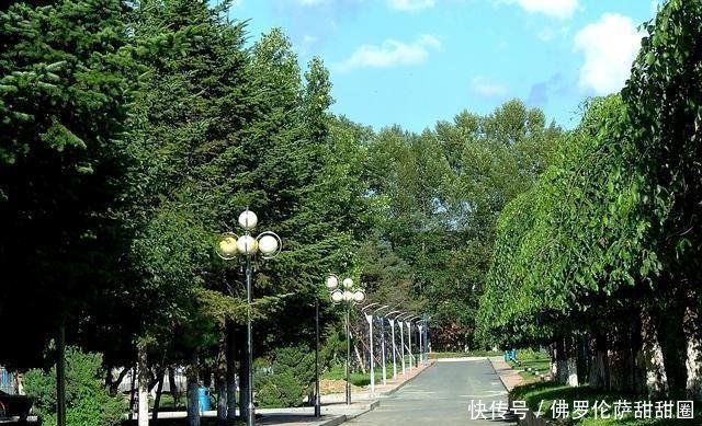 长春理工大学、吉林财经大学与东北电力大学能