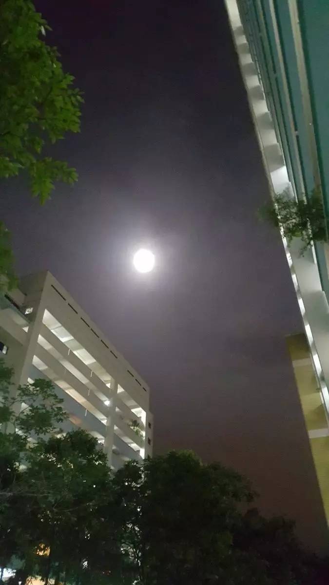全球各地超级月亮大比拼,新加坡的真令人心塞~