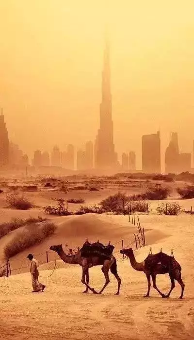 兰博基尼警车、疯狂的建筑、不可思议的宠物......这是迪拜人的生