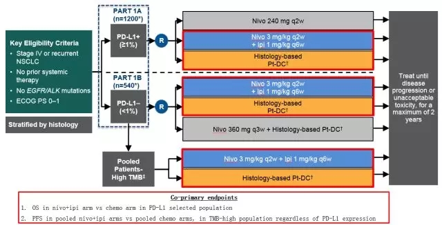 专家视角 | 陈丽昆教授:双免疫、双获益:PD-1抑制剂与CTLA-4抑制