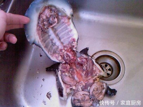 教你如何杀甲鱼,看后一学就会