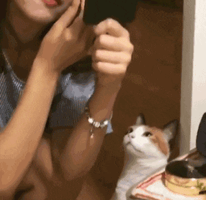 开心gif: 这就是战斗民族的自拍杆