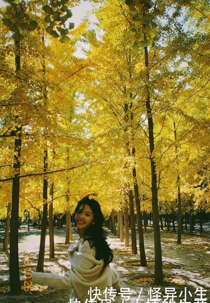 新晋女明星成为整容模板,微博被王思聪关注,她