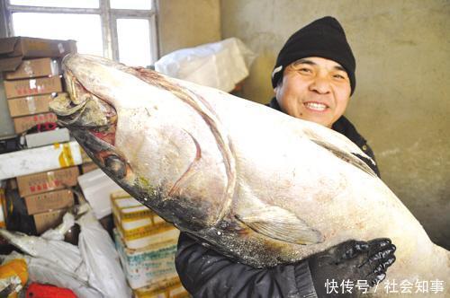 公园池塘清理把水抽干，发现大怪物，眼前景象让众人感到吃惊不已