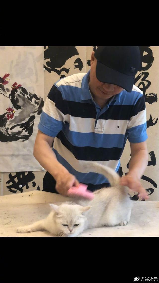 王中磊怒怼网友并发文警告崔永元 崔永元:再给