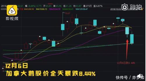 加拿大鹅爆跌?网友:你不暴跌,中国消费者还真