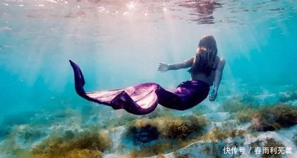 人鱼 充满诱惑、美丽动人、代代相传的故事传