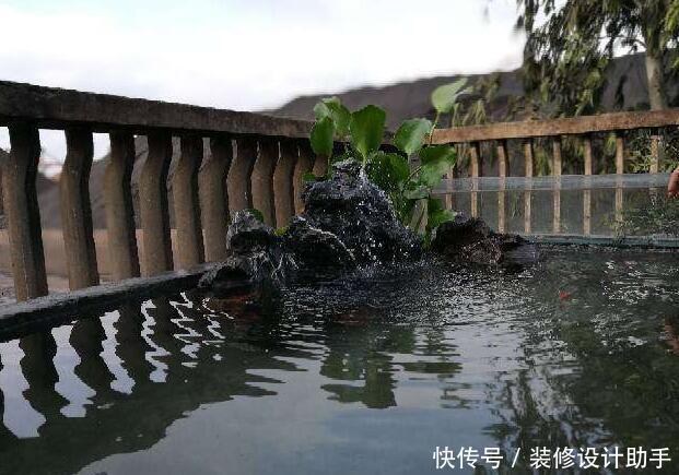 阳台改造的最牛逼的家用露天鱼池，唯一的问题是下大雨了怎么办？