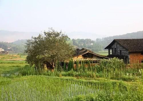 土地确权完成后，农村这几类房屋可能保不住了，随时可能面临拆除