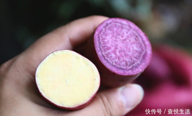紫薯到底是不是转基因食品?看完才知道被骗了