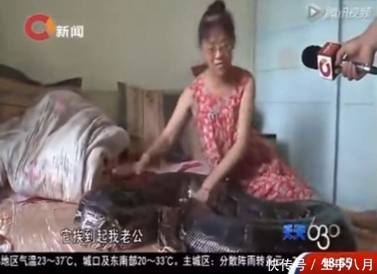 一养就是九年,小蛇变百斤巨蟒,老夫妻两每天推
