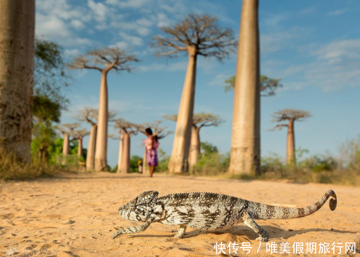 史上最新最全!对中国免签的65个国家,你还不赶