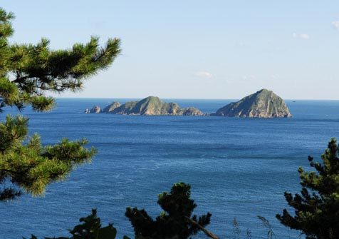 虔参堂和海洋岛海参怎么吃营养功效比较好?